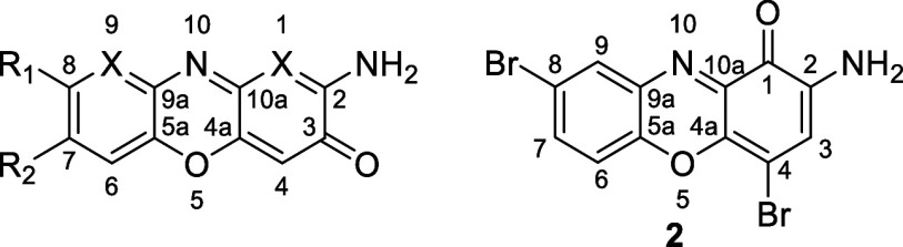 Figure 13