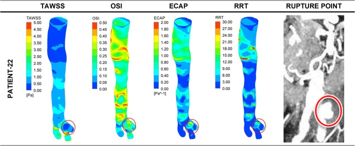 Figure 12