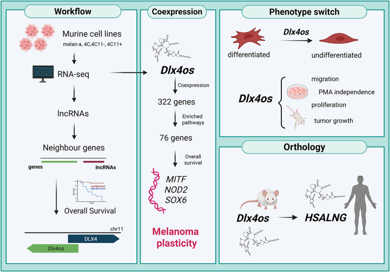 Figure 13