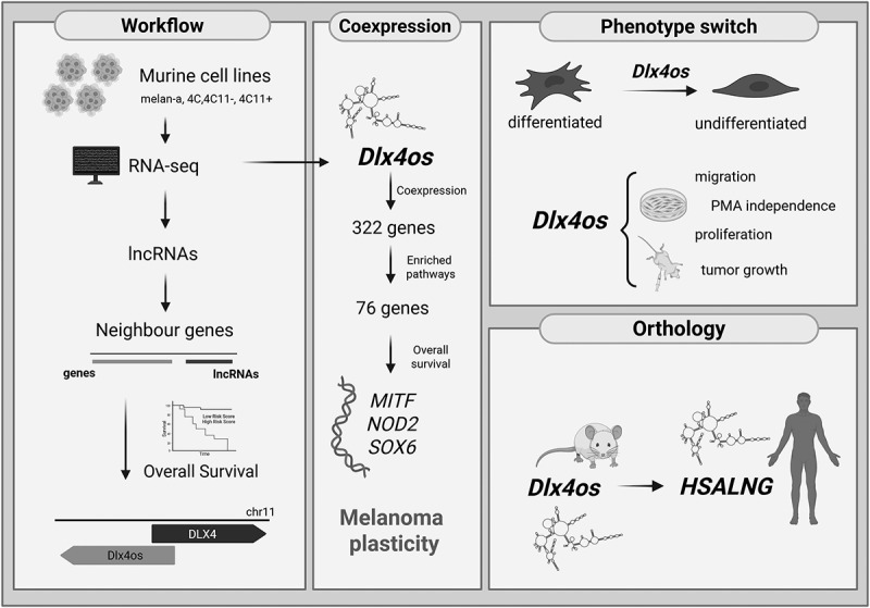 Figure 14
