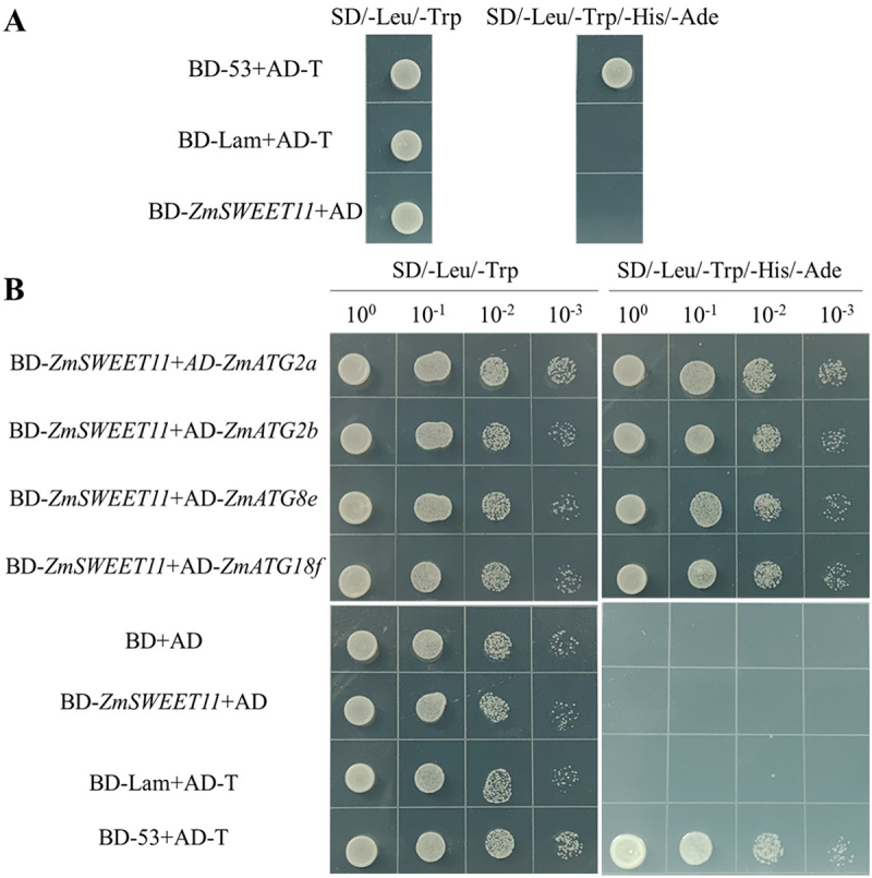 Figure 14