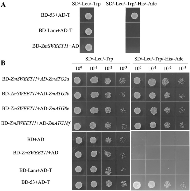 Figure 15