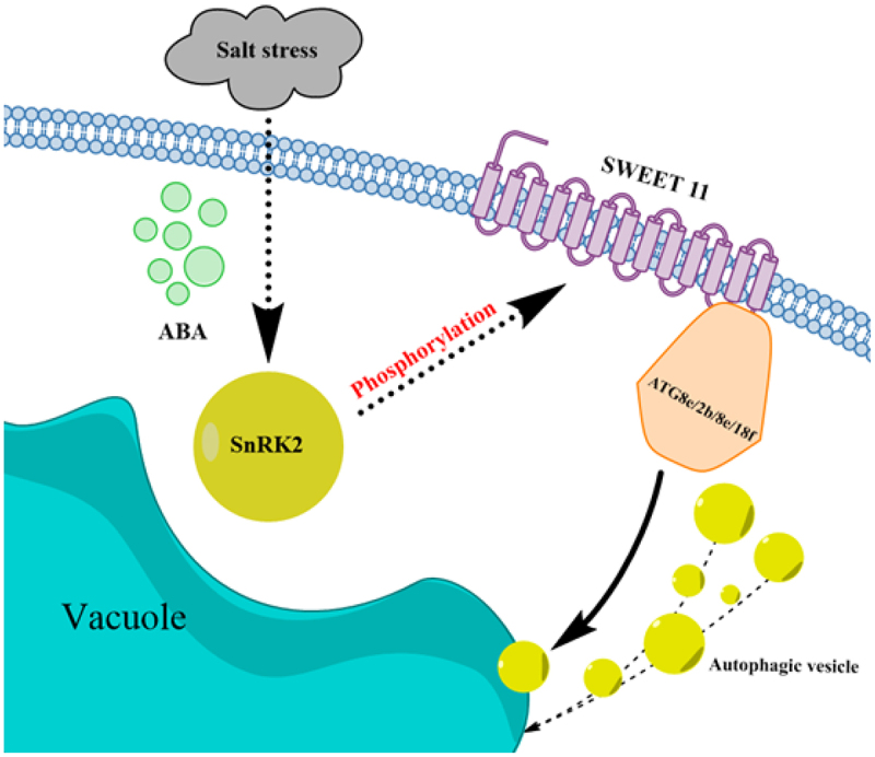 Figure 18