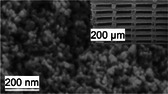 Figure 22