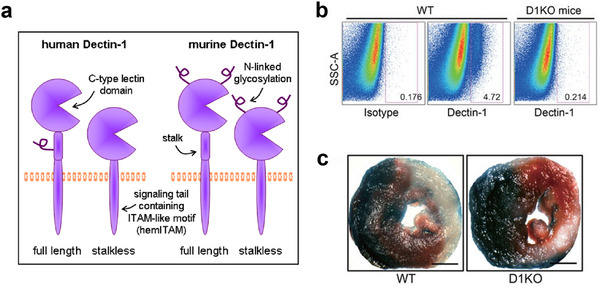 Figure 14