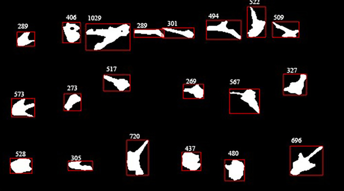 Figure 11