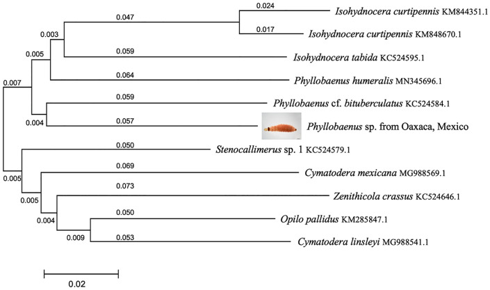 Figure 3