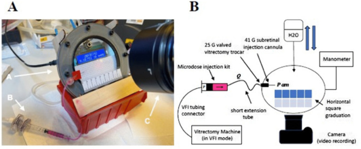 Figure 24