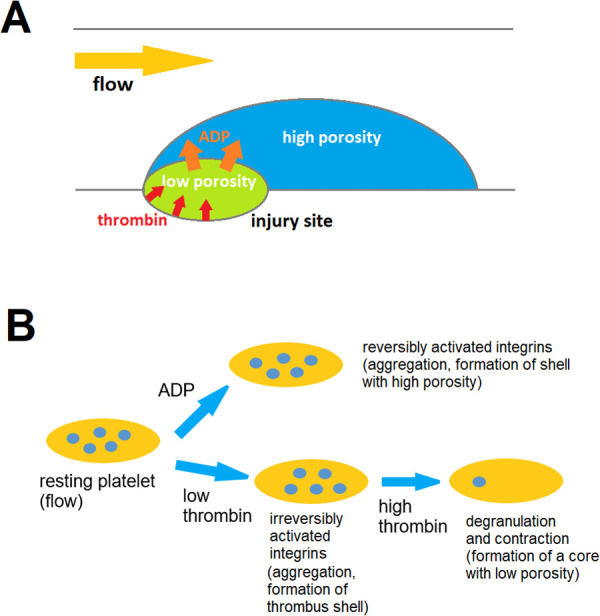 Figure 42