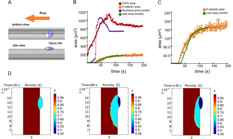 Figure 43