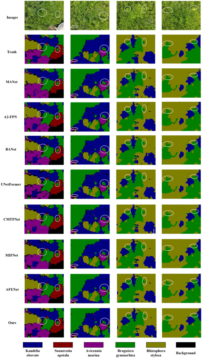 Figure 38