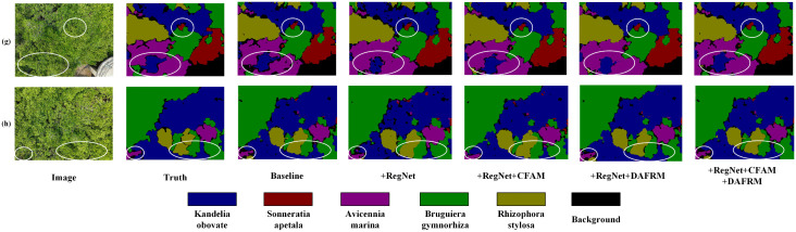 Figure 41