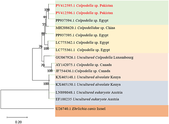Figure 9