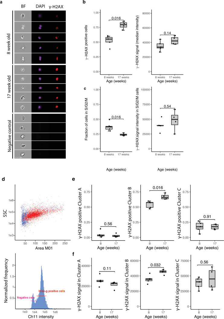 Figure 14
