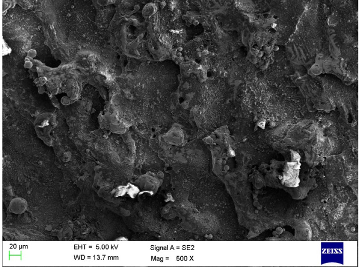 Figure 10