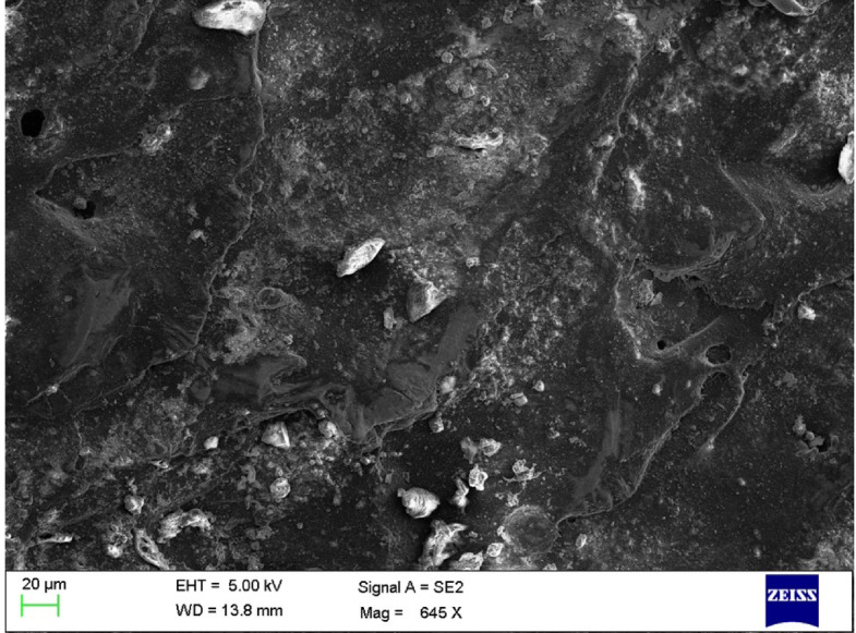 Figure 9