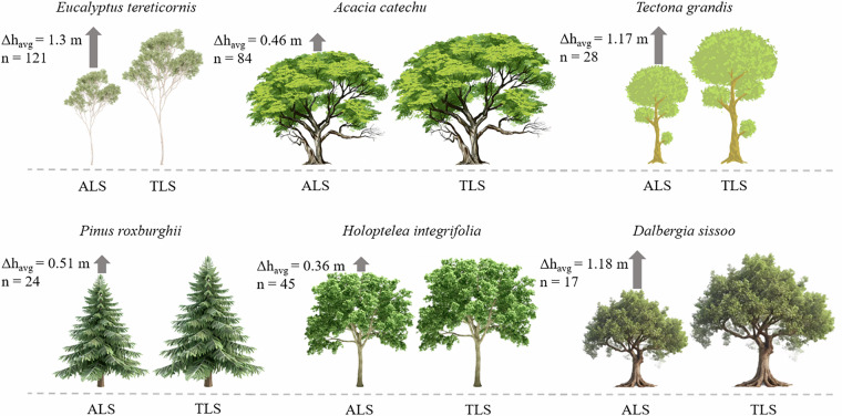 Figure 11
