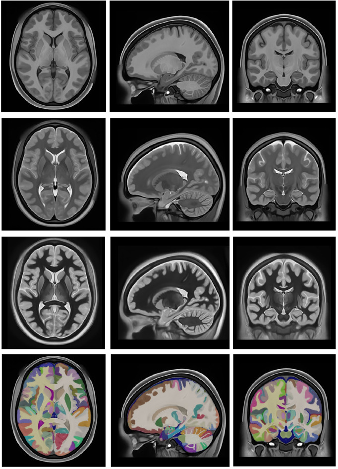 Figure 13