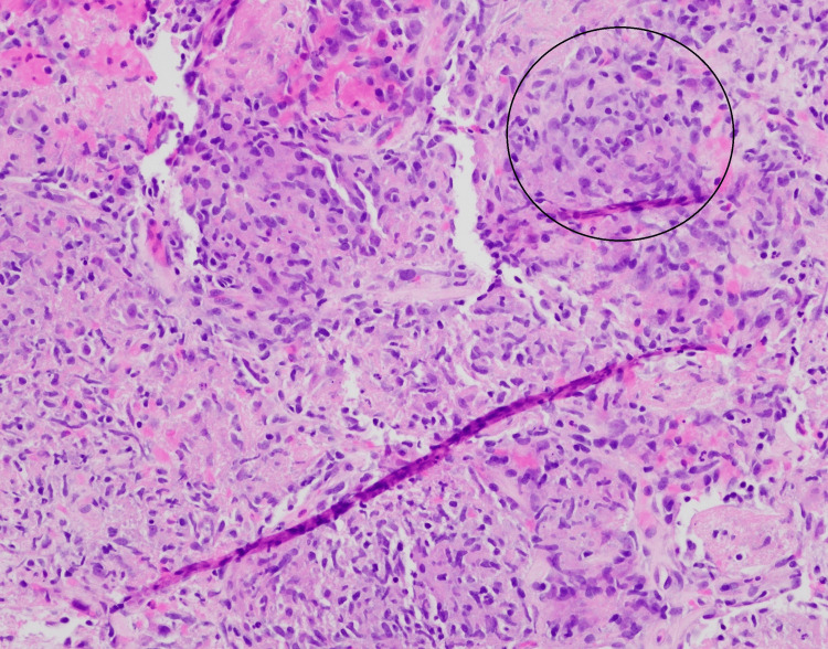 Figure 5