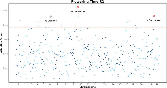 FIGURE 11