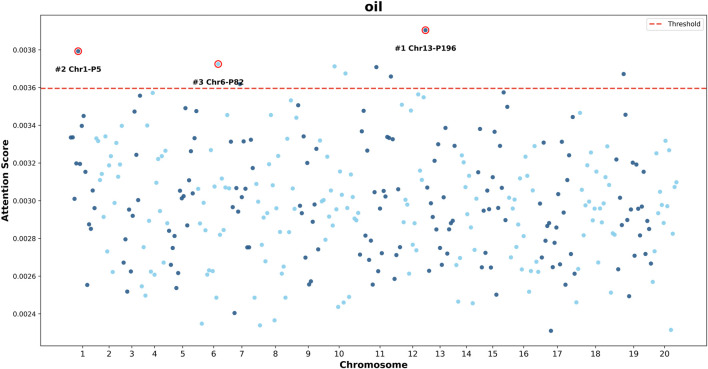 FIGURE 12