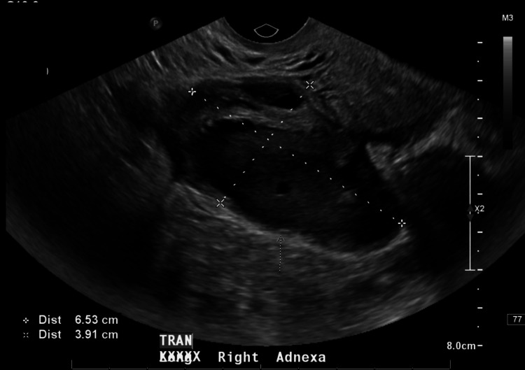 Figure 6
