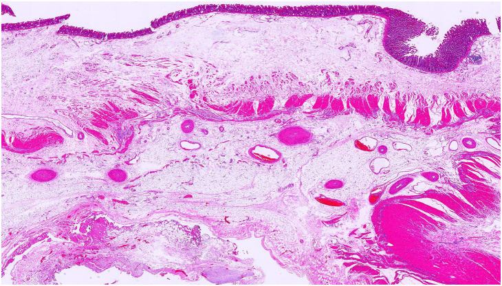Fig. 5