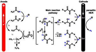 SCHEME 4