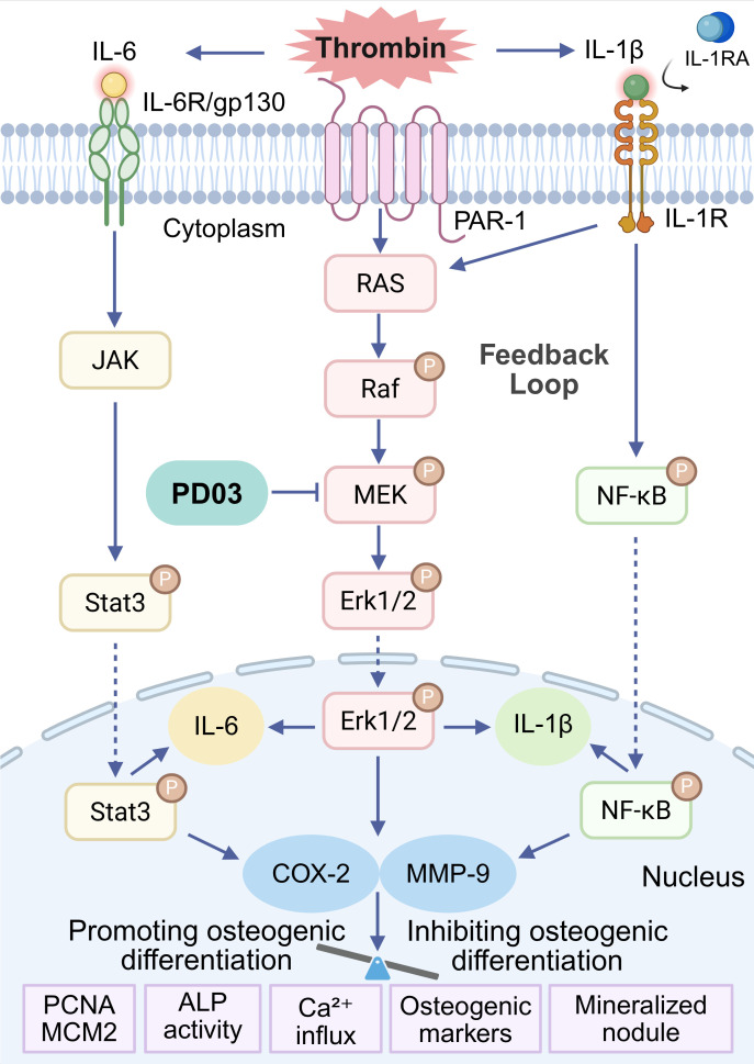 Figure 9