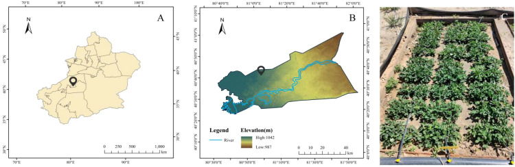 Figure 1