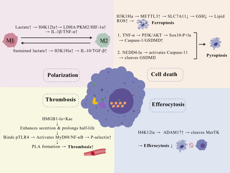 Figure 2