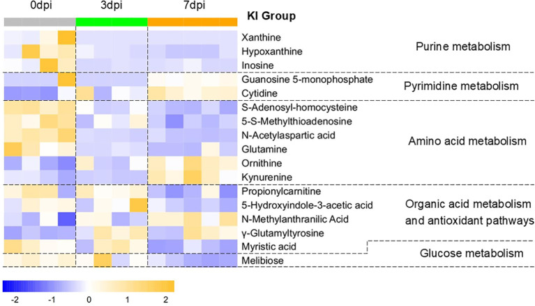 Figure 4