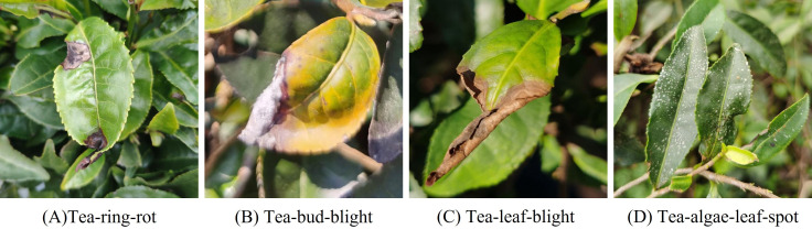 Figure 1