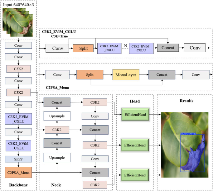 Figure 2