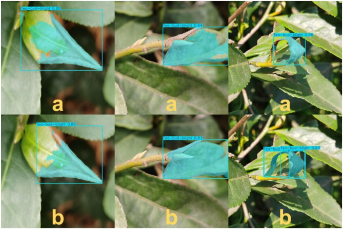 Figure 11