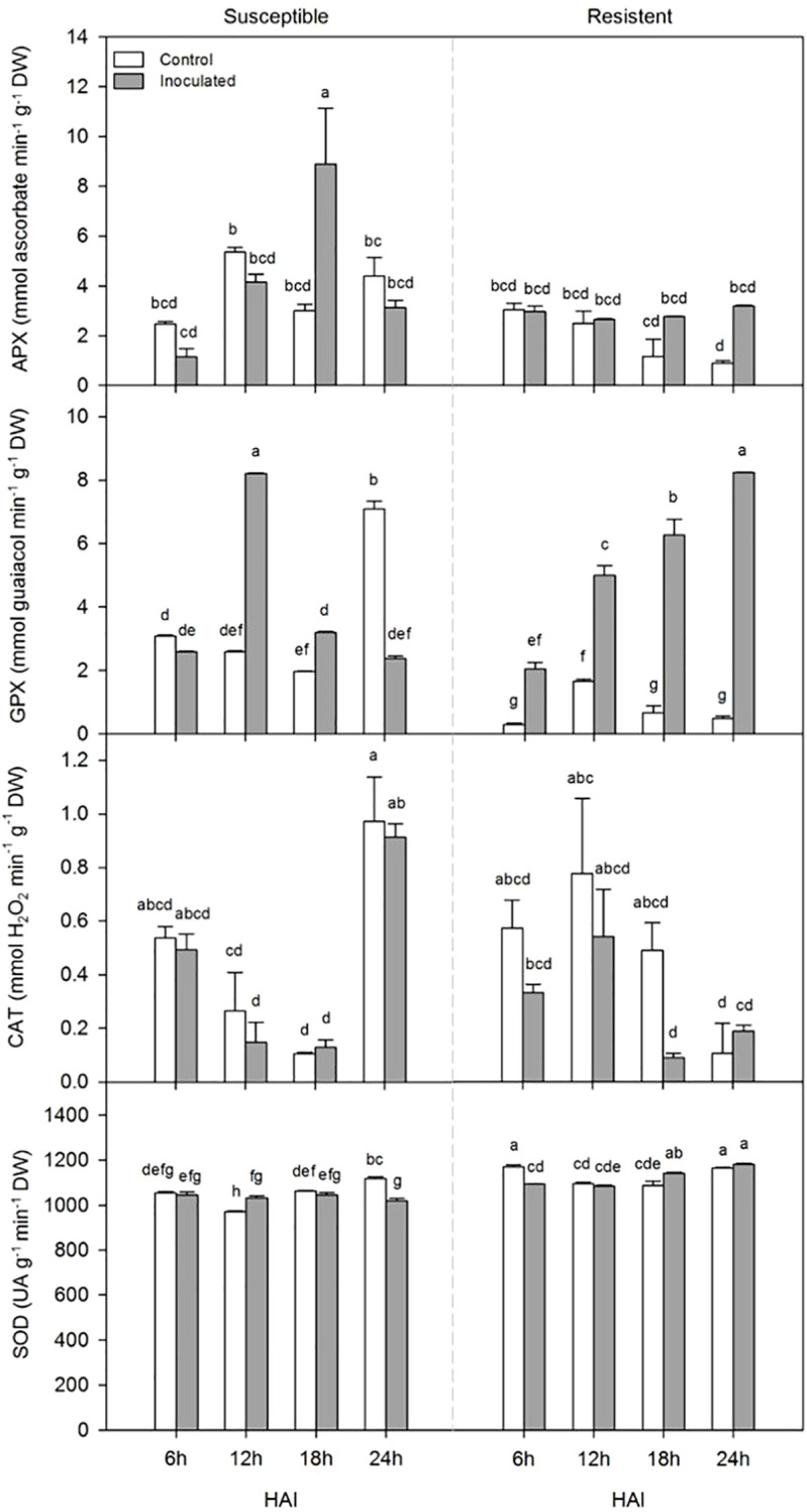 Figure 1