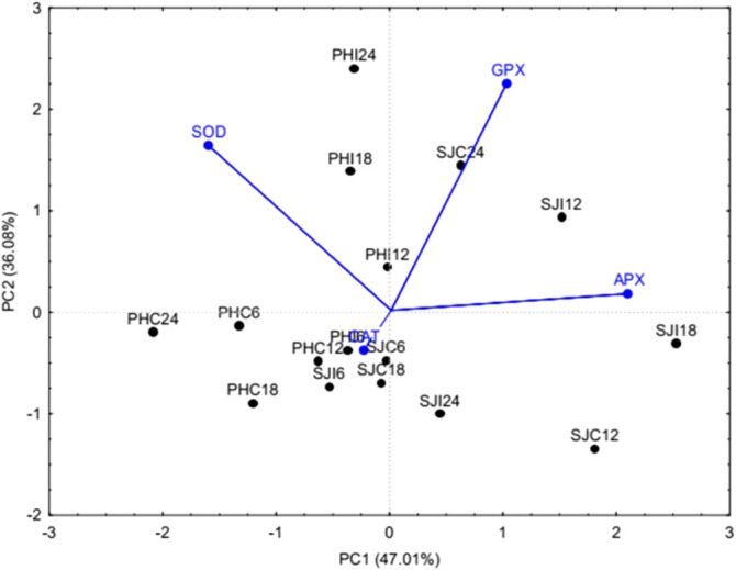 Figure 2