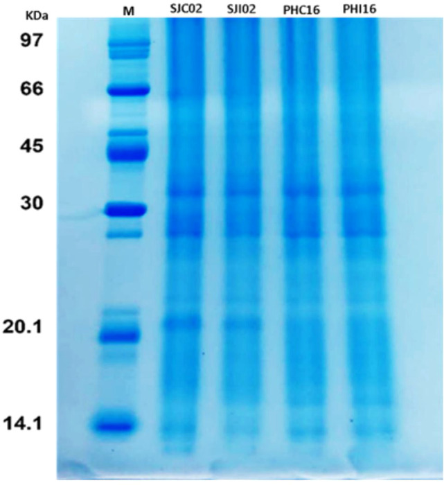 Figure 3