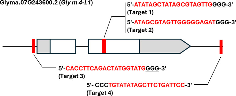 Figure 4