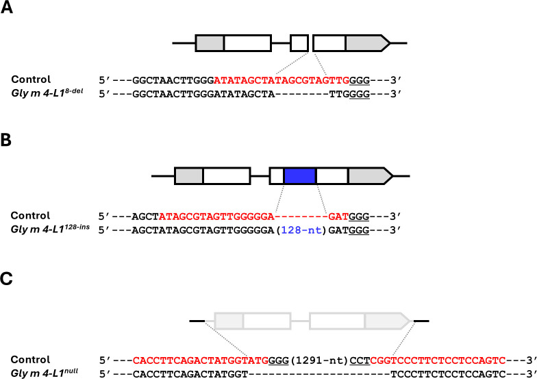 Figure 5