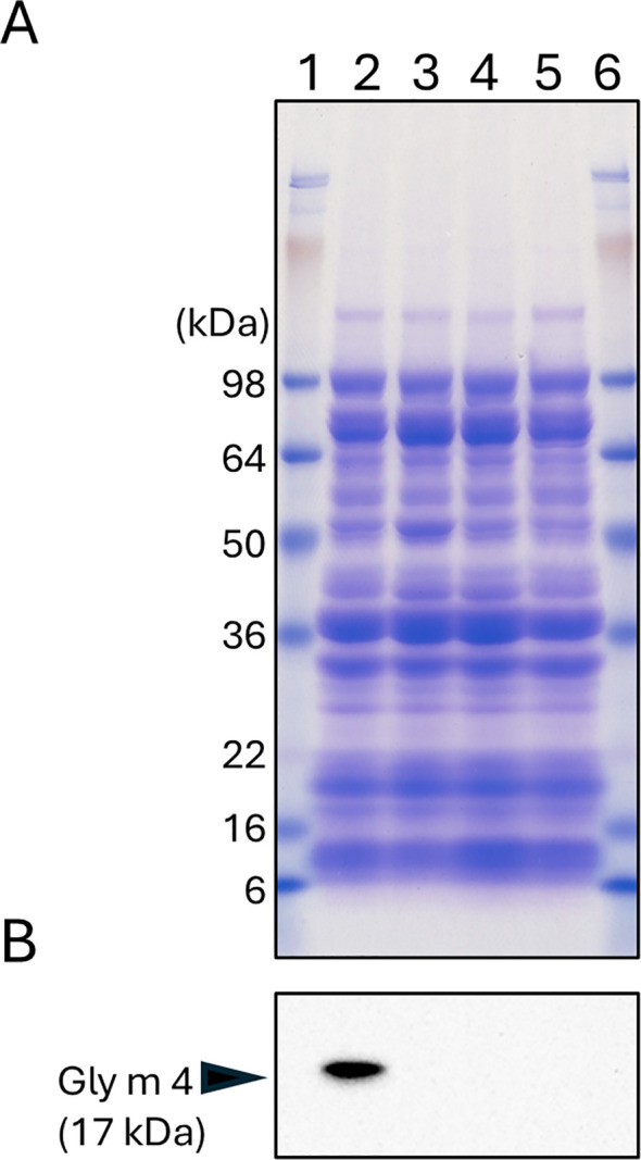 Figure 6