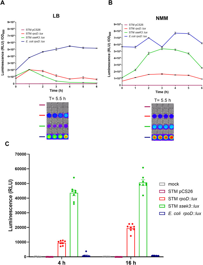 Figure 1