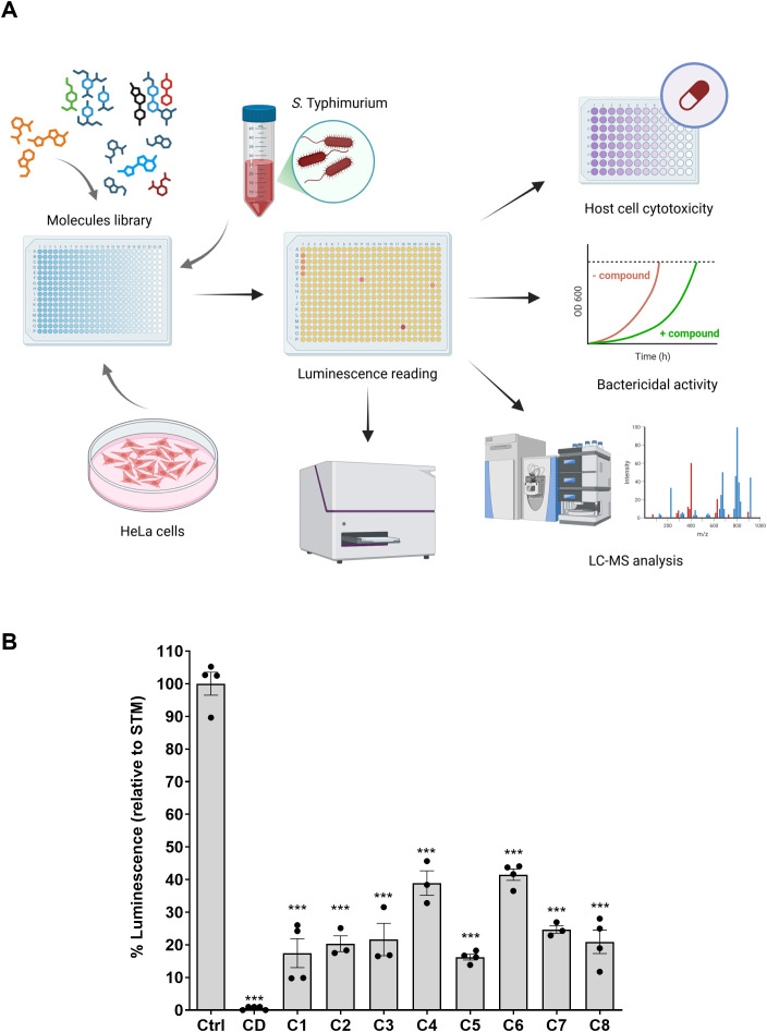 Figure 2
