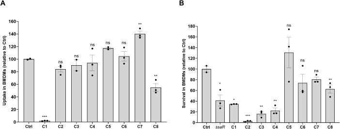 Figure 4