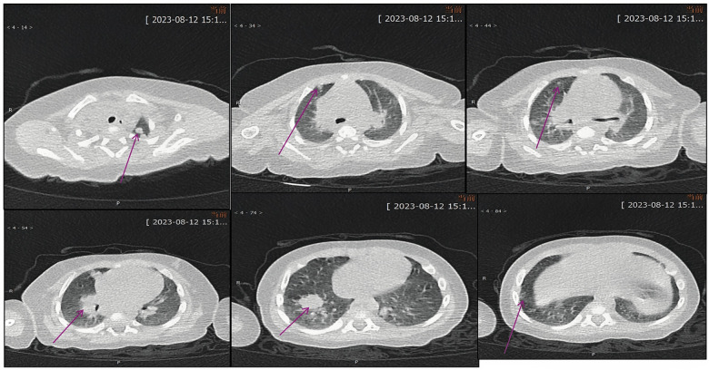 Figure 6