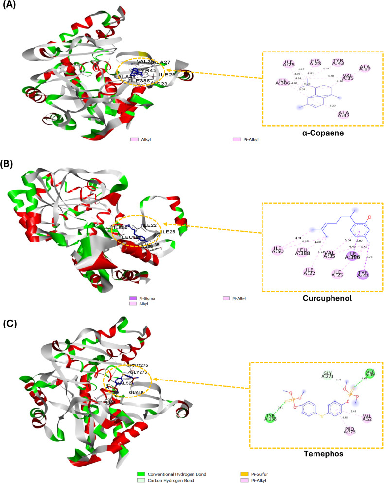 Figure 2