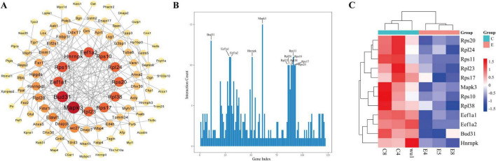 FIGURE 3