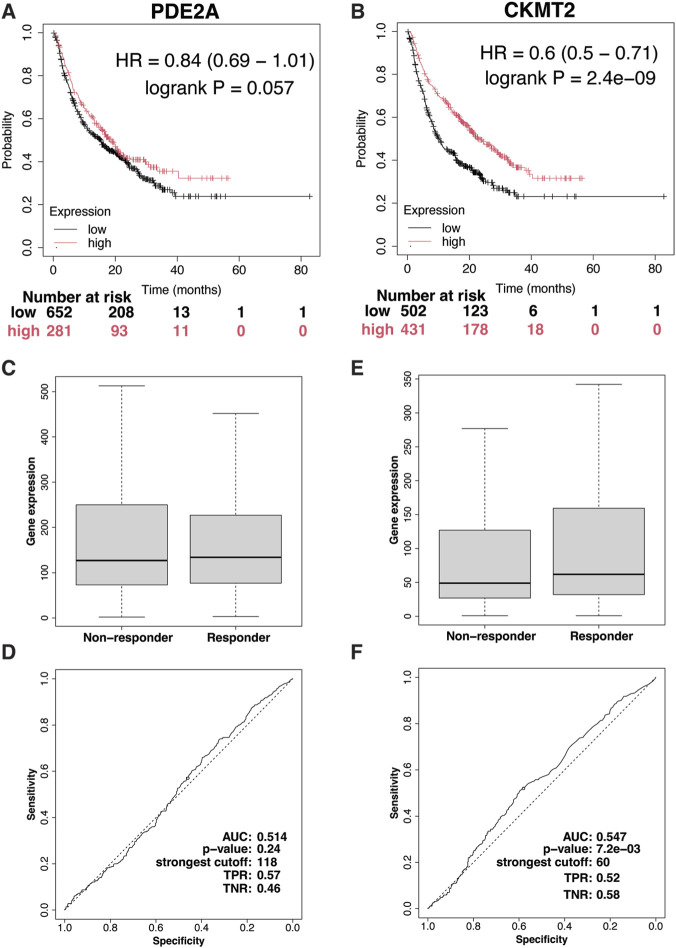 FIGURE 11