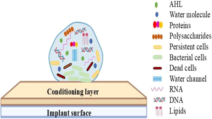 Figure 1
