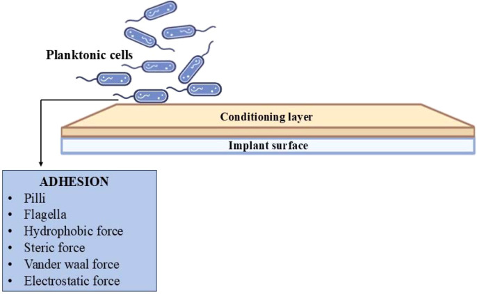 Figure 2